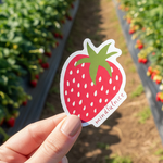 Hand holding a strawberry-shaped sticker in a strawberry field.